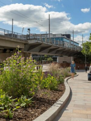 A photo representing this patron spotlight from Pick Everard