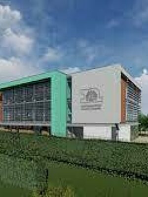 A photo representing this patron spotlight from 