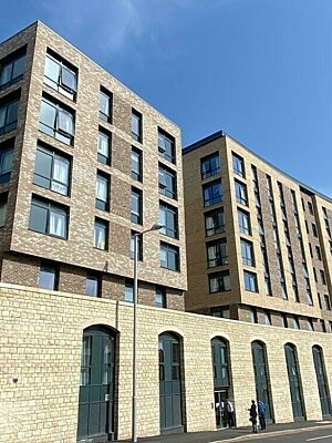 A photo representing this patron spotlight from Pulse Consult